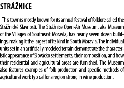 Str  nice This town is mostly known for its annual festival of folklore called the Str  nick  Slavnosti  The Str  nic   