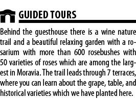  GUIDED TOURS Behind the guesthouse there is a wine nature trail and a beautiful relaxing garden with a rosarium with   