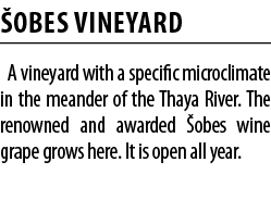  OBES VINEYARD A vineyard with a specific microclimate in the meander of the Thaya River  The renowned and awarded  o   