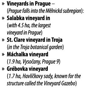   Vineyards in Prague   (Prague falls into the M lnick  subregion):   Salabka vineyard in  (with 4 5 ha, the largest    