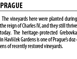 Prague The vineyards here were planted during the reign of Charles IV, and they still thrive today  The heritage-prot   