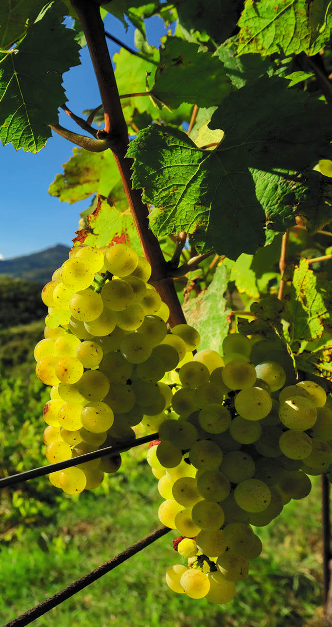 Kniha  LABE - Libor Sv  ek  - vyd n  1 , rok 2019 Photographer: Libor Svacek; box fotosvacek cz; Mobile: +420 602428001; 