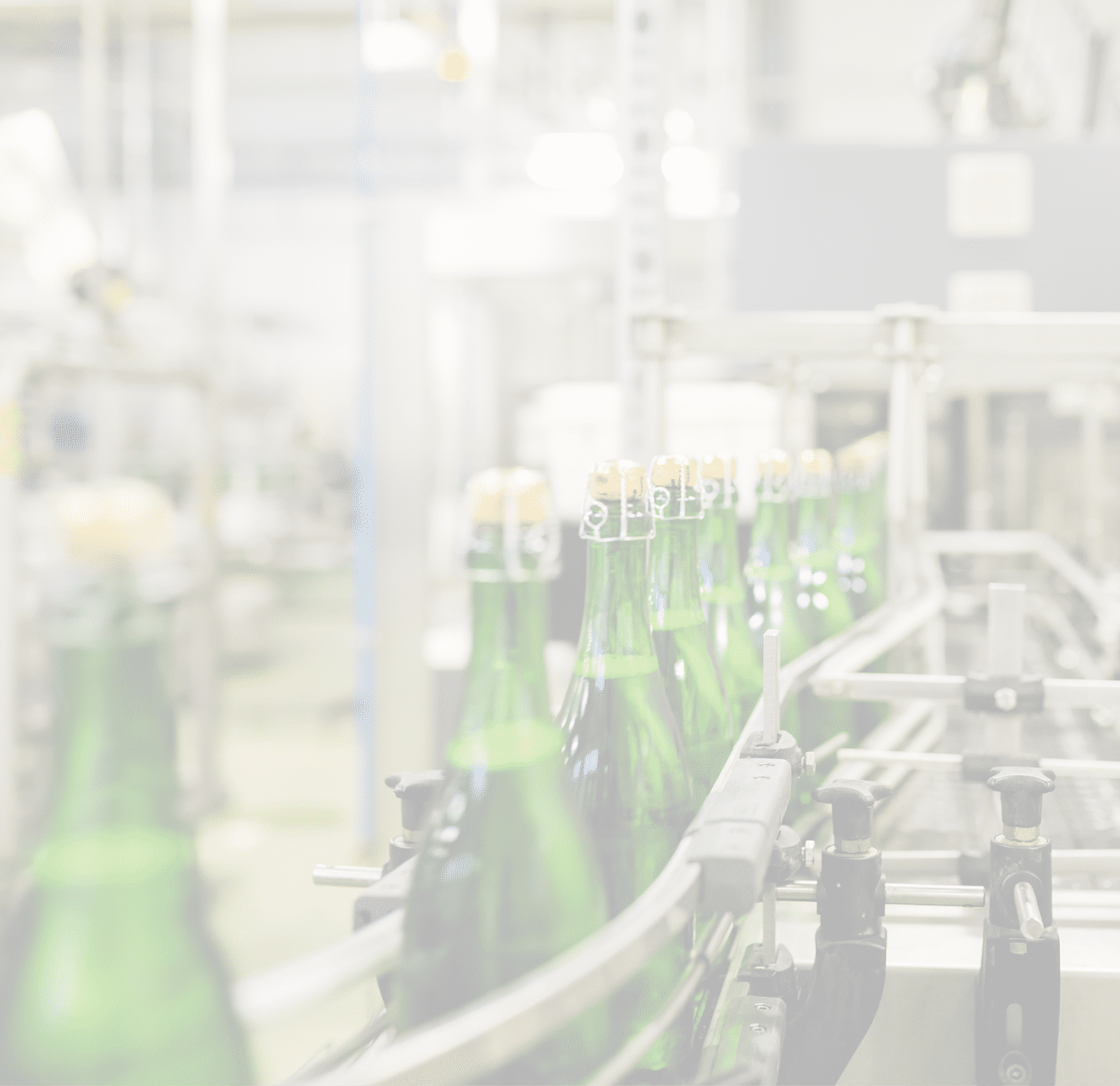 bottles with champagne wine are moving along the conveyor at the factory of grape and sparkling wine