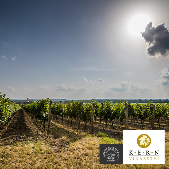 Winery Kern