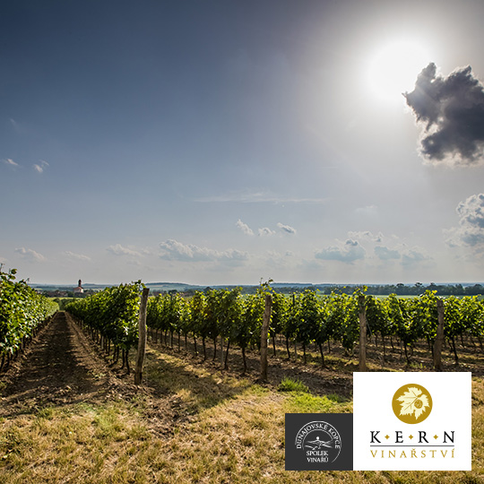 Weingut Kern