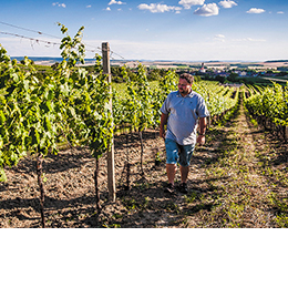 Weingut Kadrnka