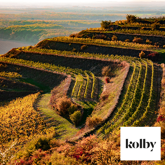 Kolby Winery