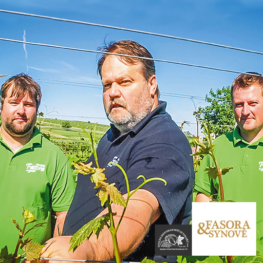 Weingut Fasora und Söhne