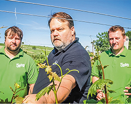 Weingut Fasora und Söhne