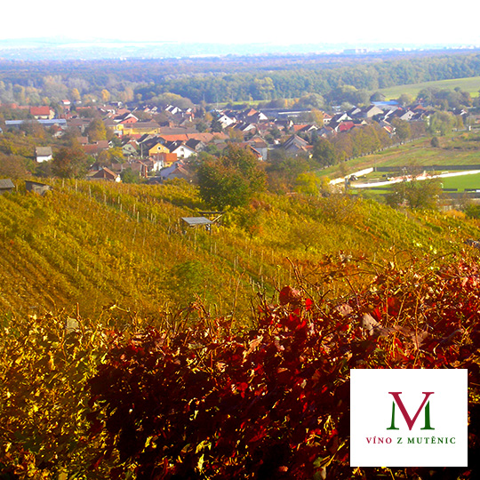 Búda Mutěnice winemakers’ association