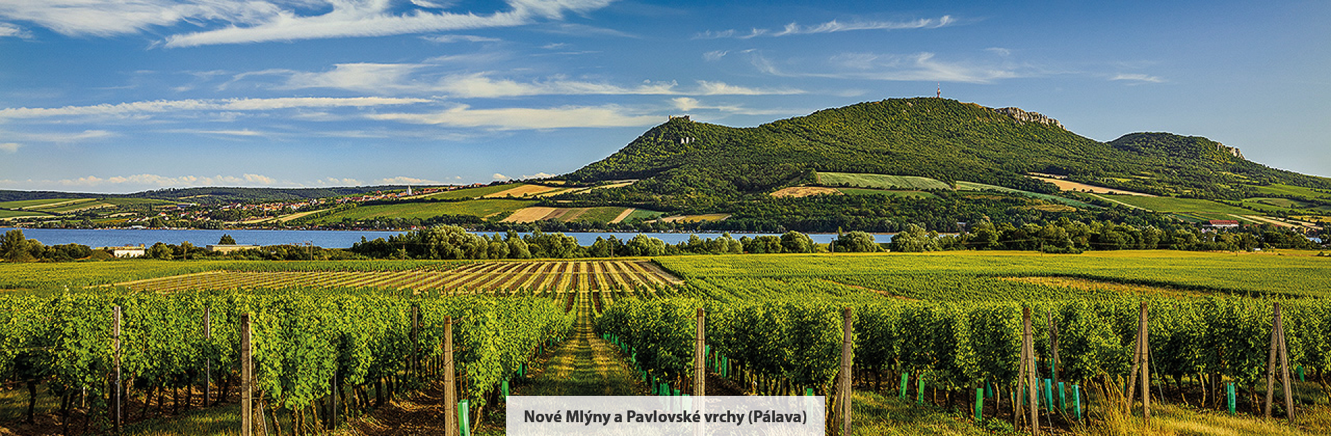 The Pálava Protected Landscape Area, source: Libor Sváček, Vydavatelství MCU archive