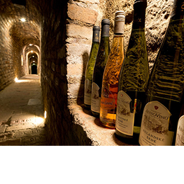 Valtice Underground Winery